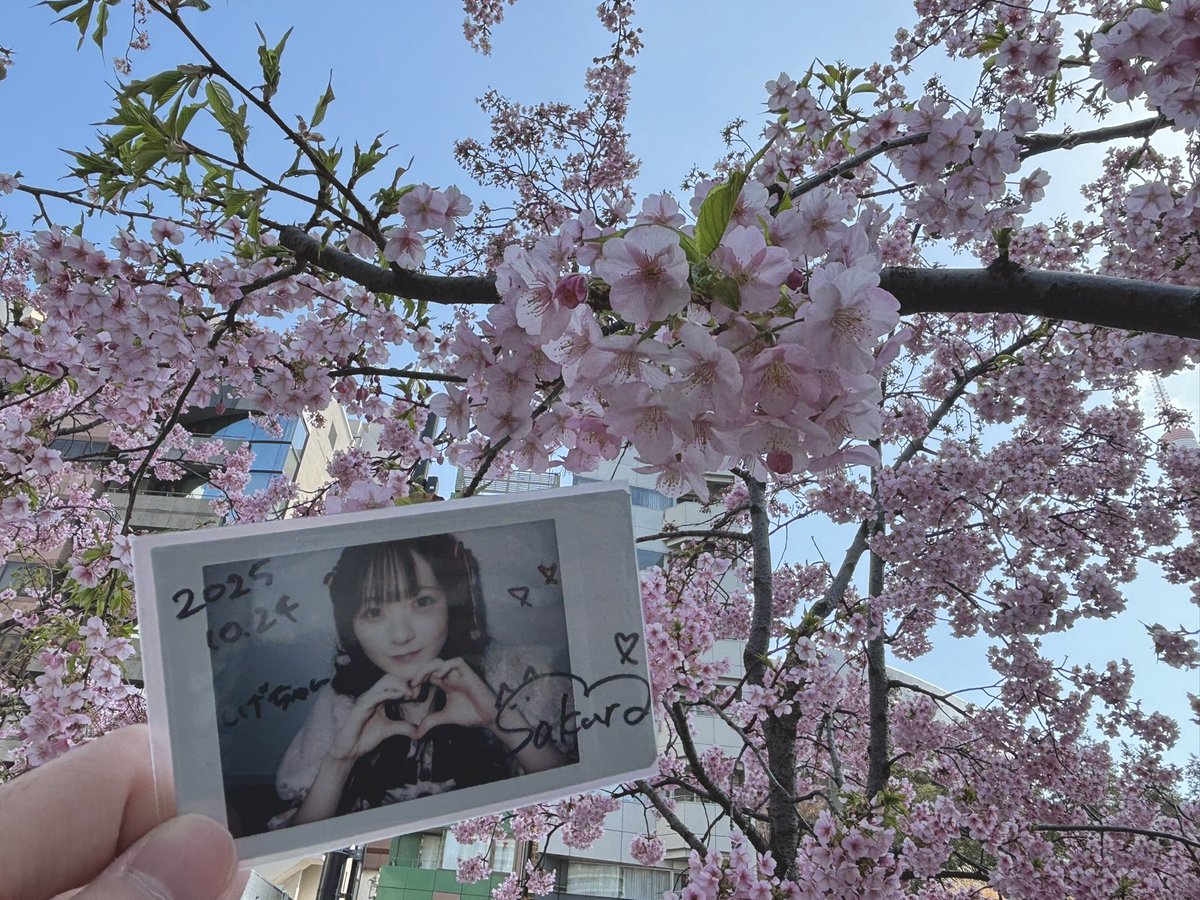 しげちゃん (@shige_cha_lice) / Posts / X