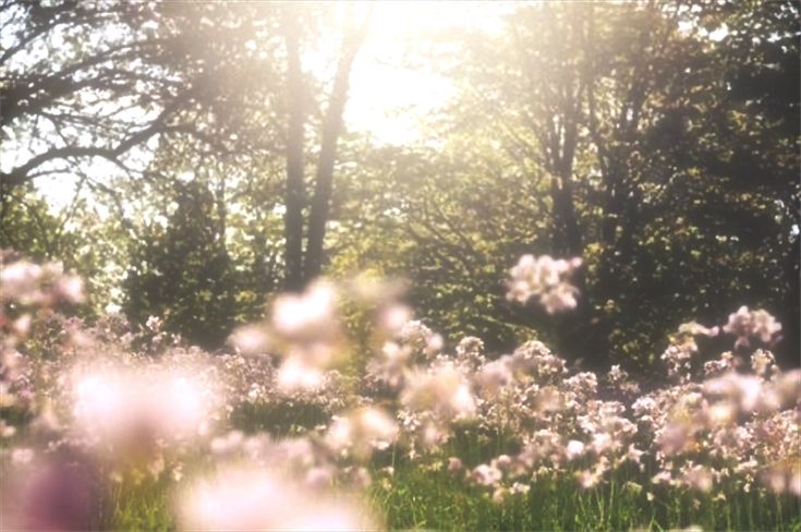 sofissdiaries's tweet image. what does pinterest think of you?

aura
color
album 
scenery