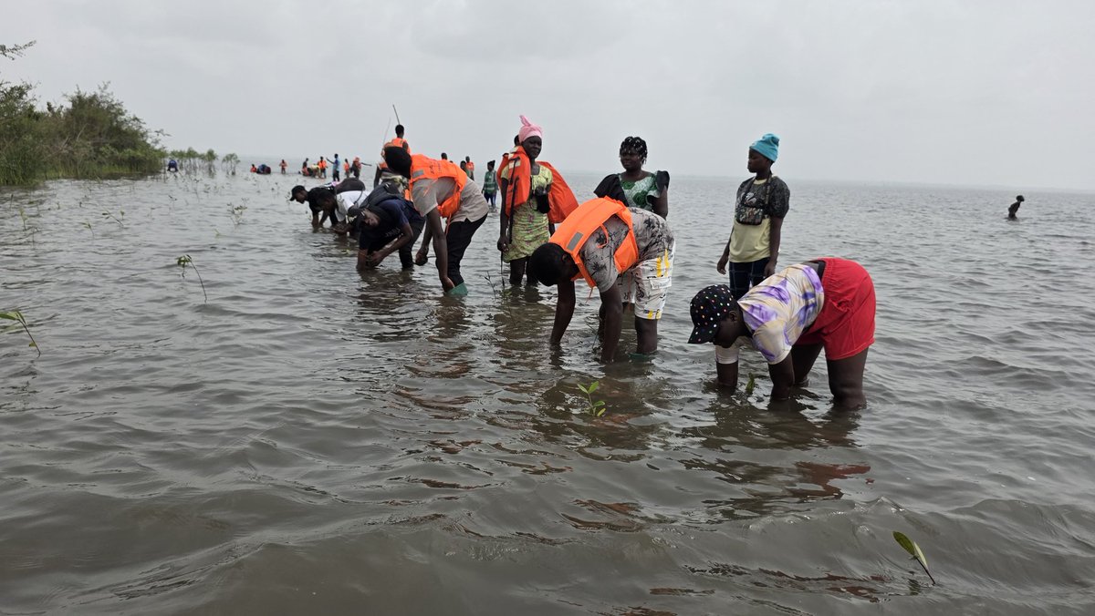 JVE International tweet media