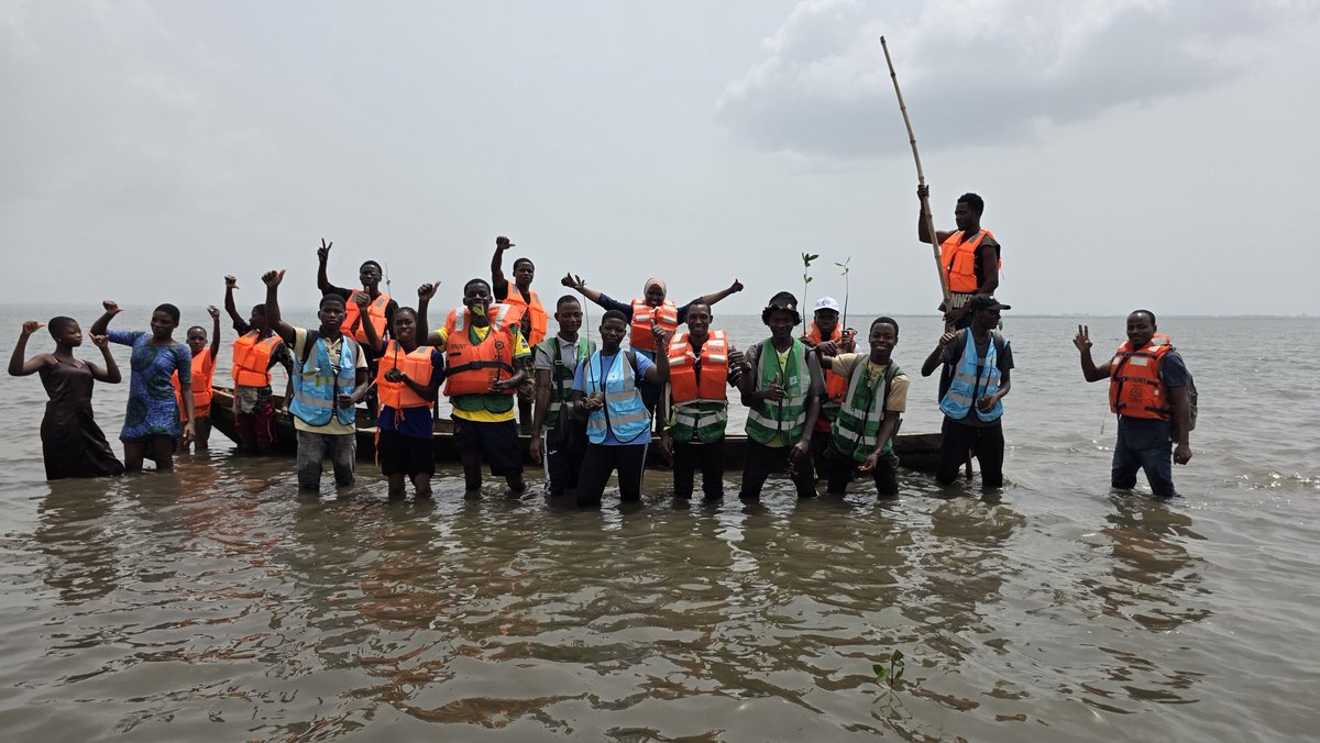 JVE International tweet media