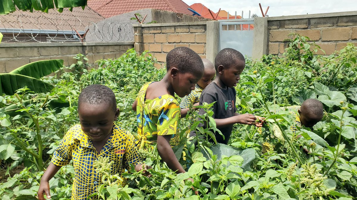 InkuruA's tweet photo. 🌍 Ku munsi Mpuzamahanga w’Ururimi Kavukire taliki 21/02, ABATESI b’Inkuruzabato bizihije uyu munsi binyuze mu ndirimbo, imivugo,udukino, gusangira,🍚🥗 ...
🌱 Bize gusoroma inyabutongo🥗 banazisangiza imiryango yabo, mu busabane n'ababarera.
#UrurimiKavukire #umuco #iterambere https://t.co/jK9GkZ1lzA