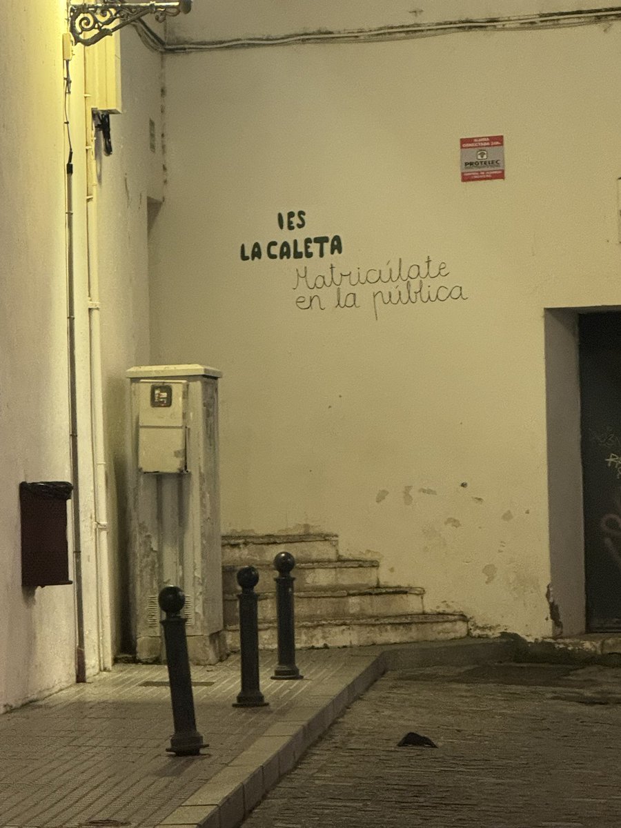 illo el ale tweet media
