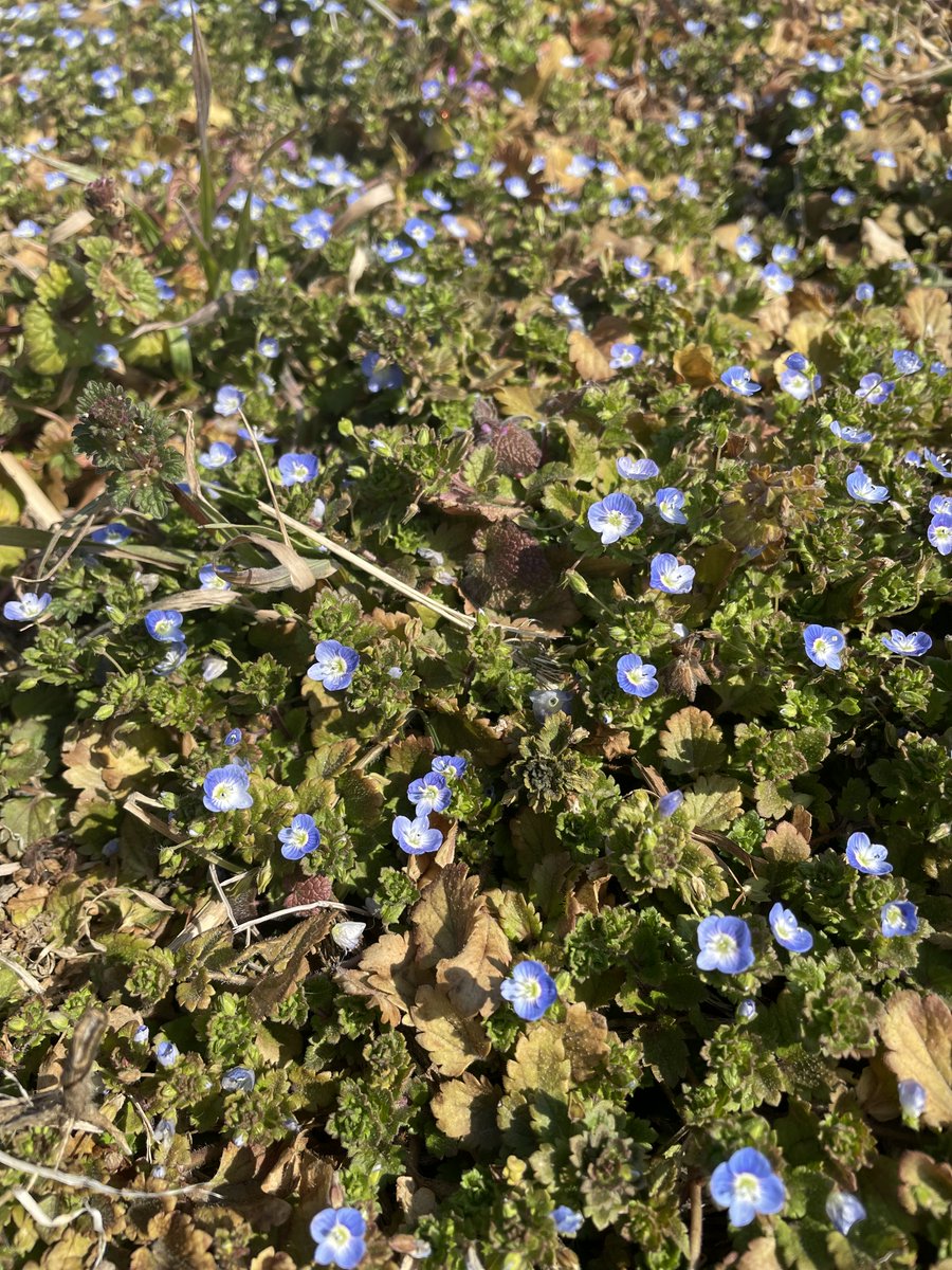 Takeshi Sentoku (千徳 毅） tweet media