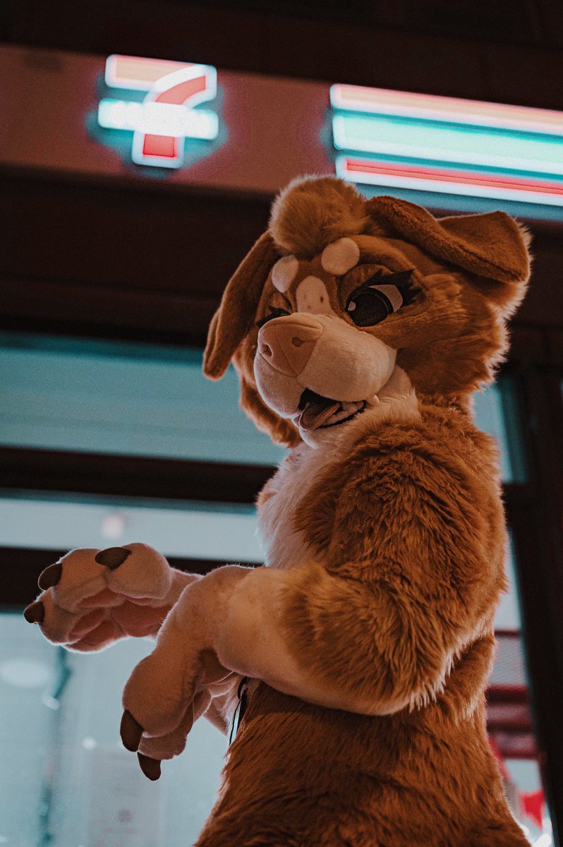 ๐ซ๐ฎ๐! โหโน ๐ฑ tweet media