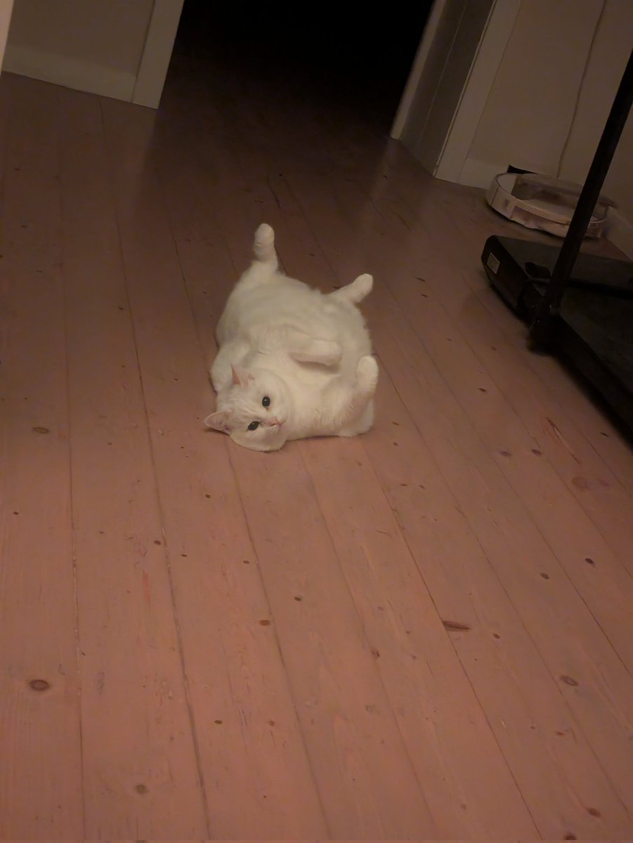 ГОВОРИТЬ ПОПОВА tweet media