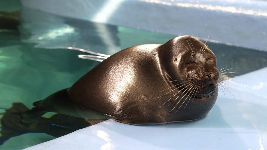 alyssa 🦭 tweet media