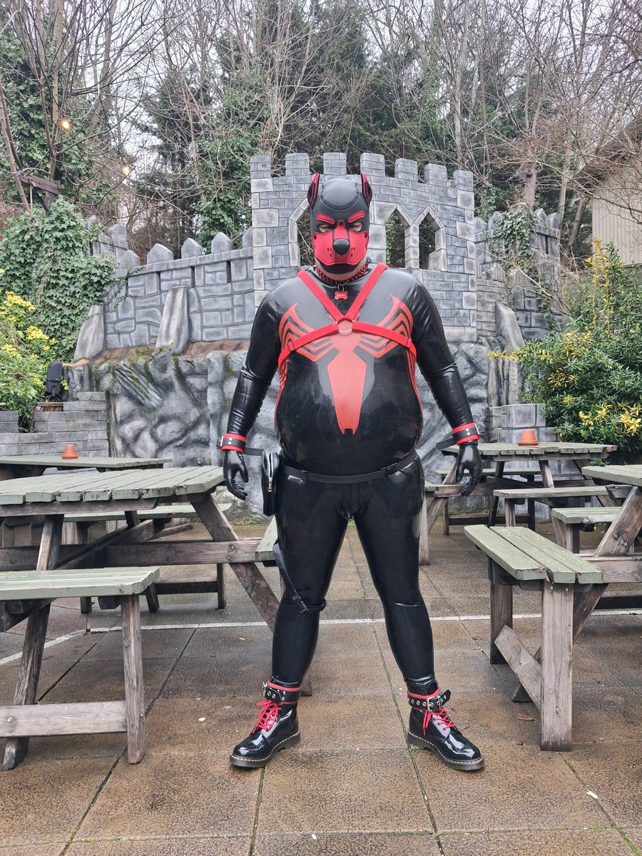 PNebbles's tweet photo. Good pup? Try again. https://t.co/JIQCHWrIoM