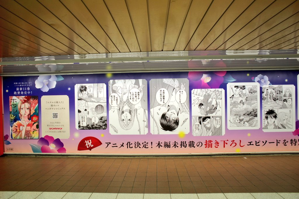 乙城蒼无(Aomu Otsushiro) (@aomu) / Posts / X