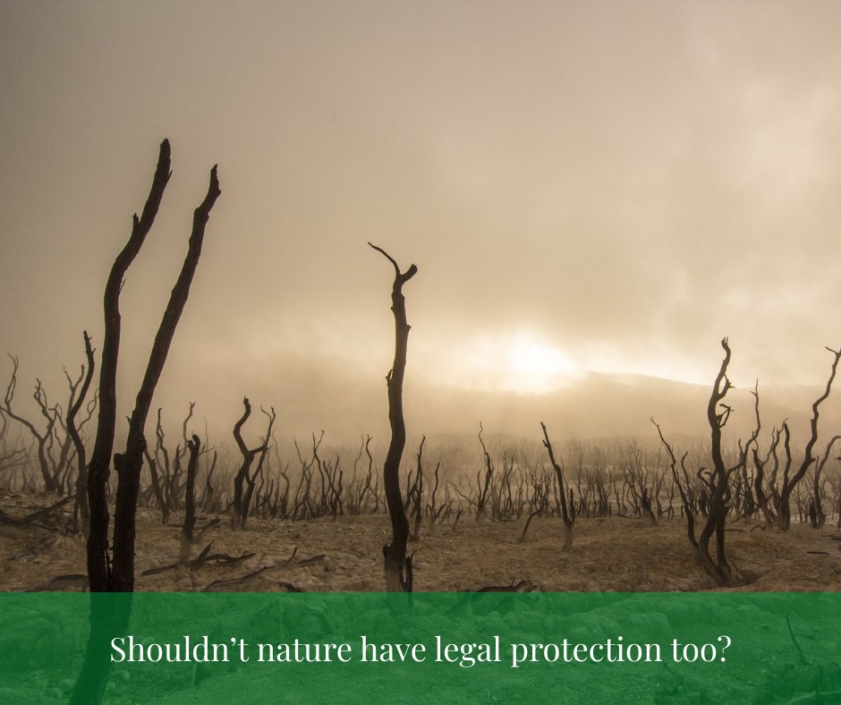 Nature Canada tweet media