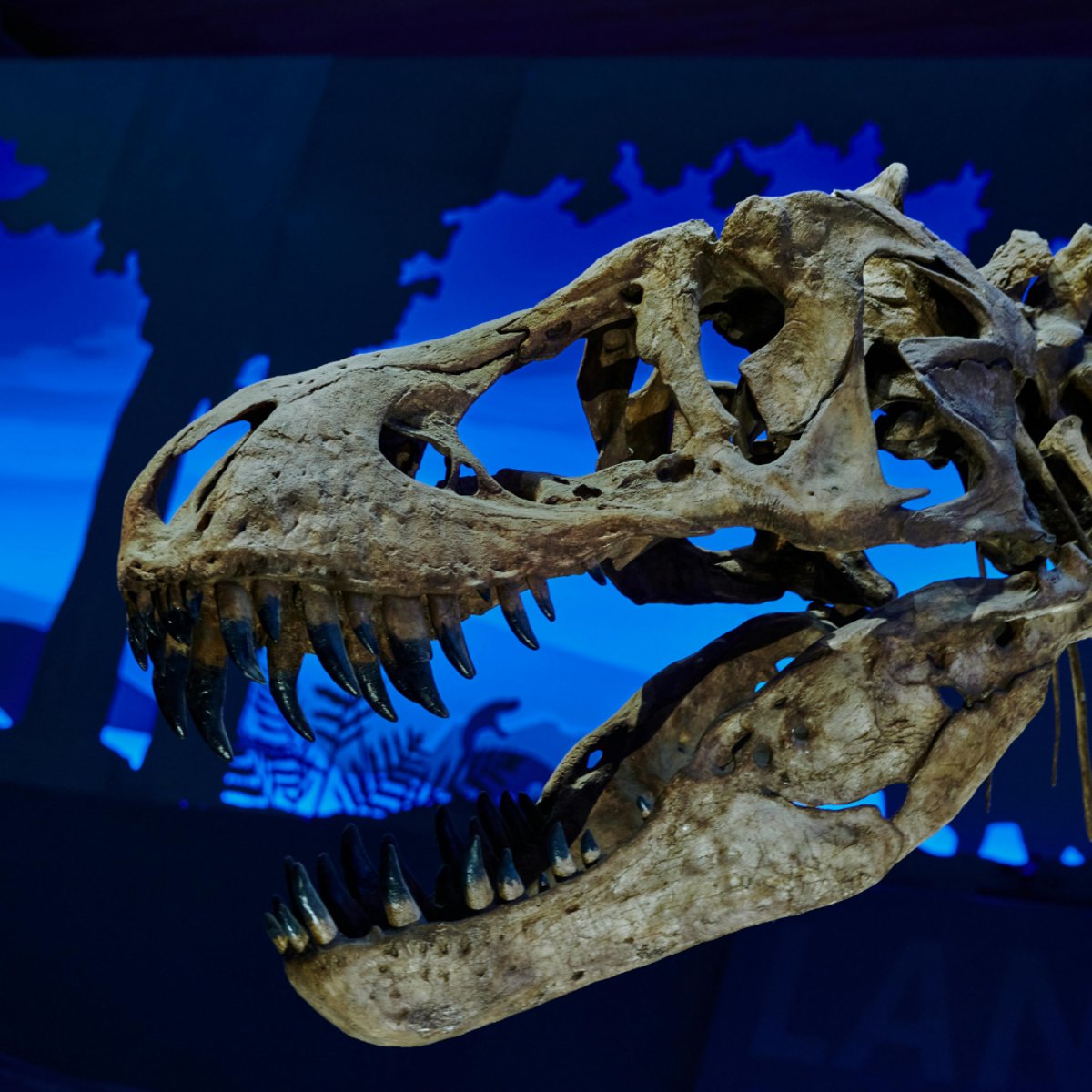 Hilton Post Oak tweet media