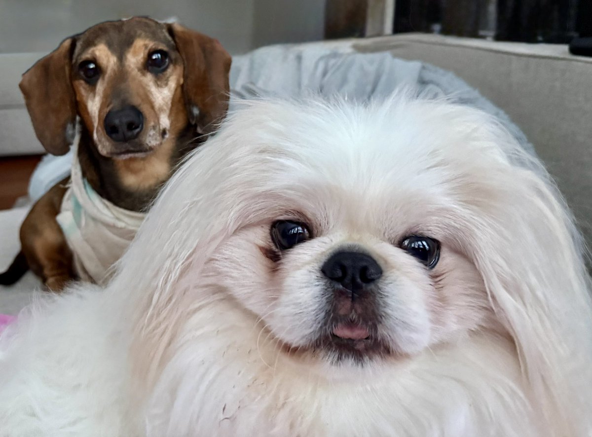 Mike Kunkle tweet media