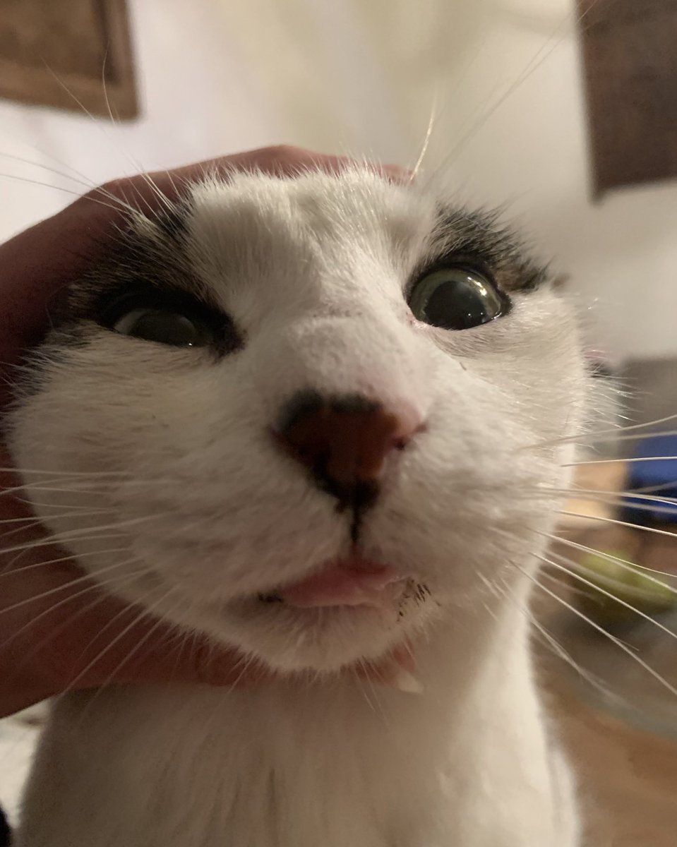 I am now burger❗️

How the turns have tabled💔