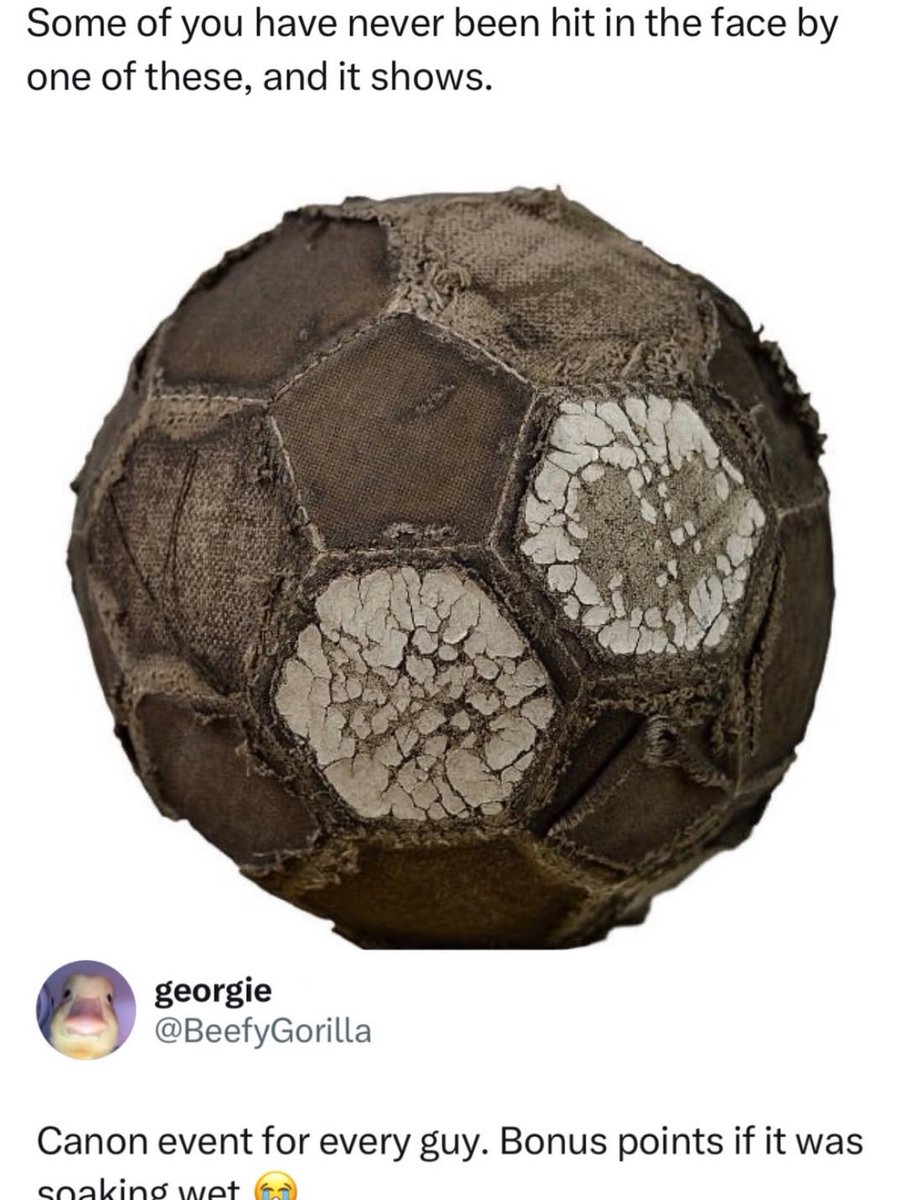 Boys Being Boys (@boysbeingboys) on Twitter photo 