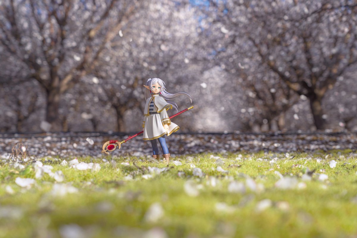 陶格曼 tweet media