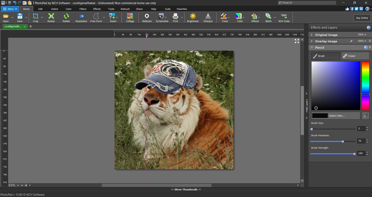 SKREEONKG's tweet image. i didnt know if any pics of a tiger with a cool hat were ai or unethical so i made 1 myself