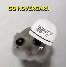 That Carson Hocevar Fan tweet media
