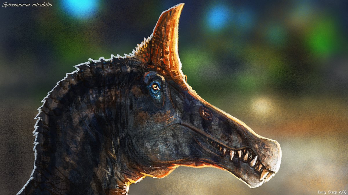 Finally sketched the new dinosaur guy on the block. A somewhat speculative Spinosaurus mirabilis speedpaint.