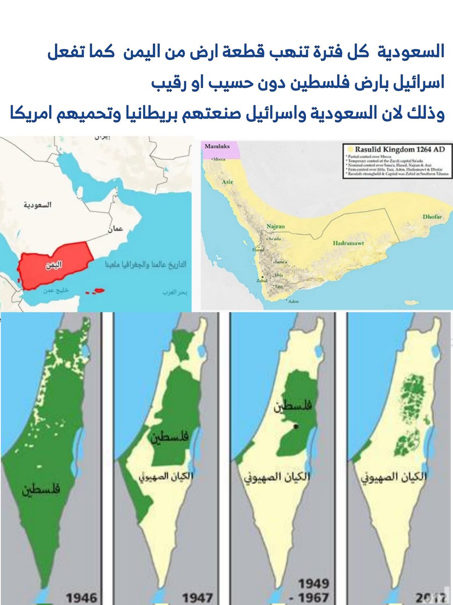 شاهد tweet media