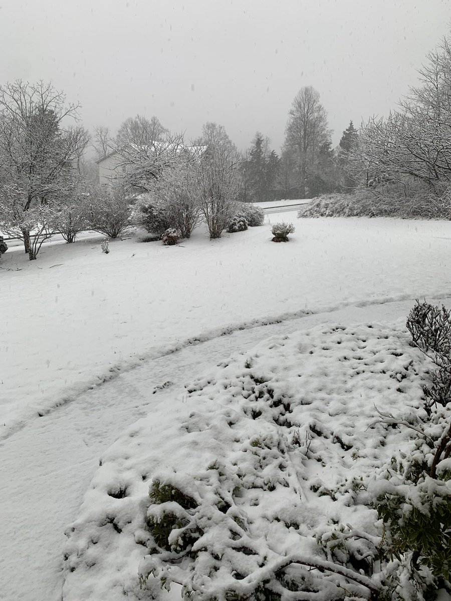 Jennifer Delgado tweet media