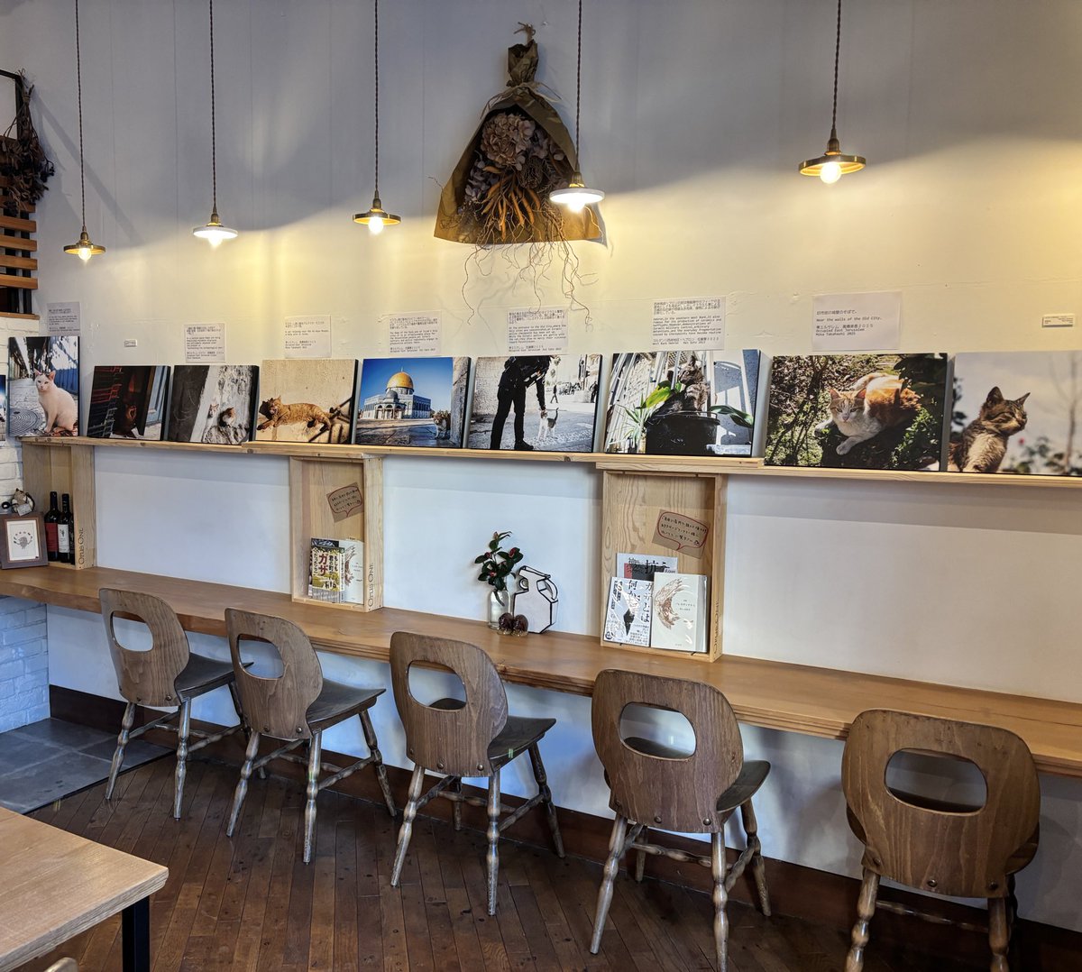 <a href="/NatsukiYasuda/">安田菜津紀 Dialogue for People</a> ご来場お待ちしています！！