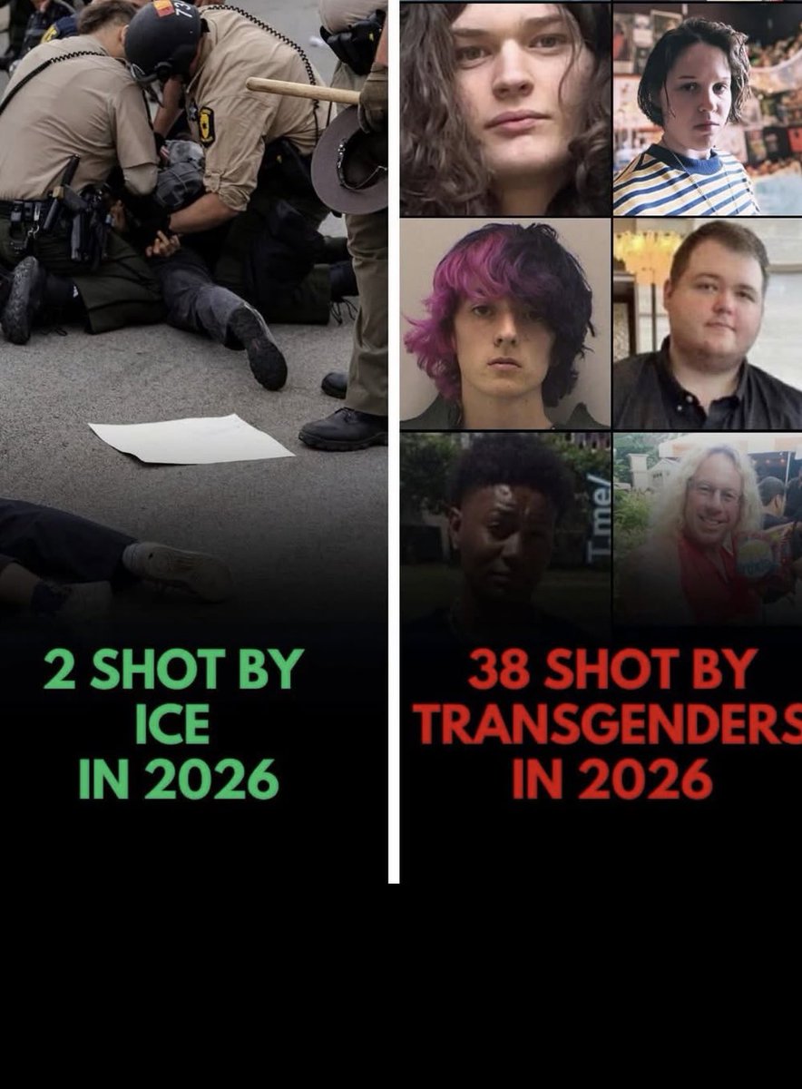 🌷 LIZZIE🌷 tweet media