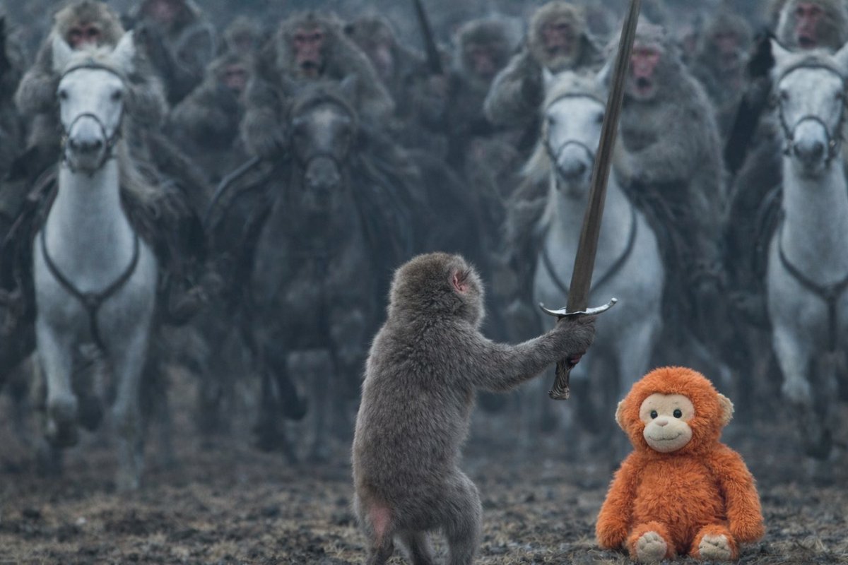 There is only one true King. #PunchMonkey