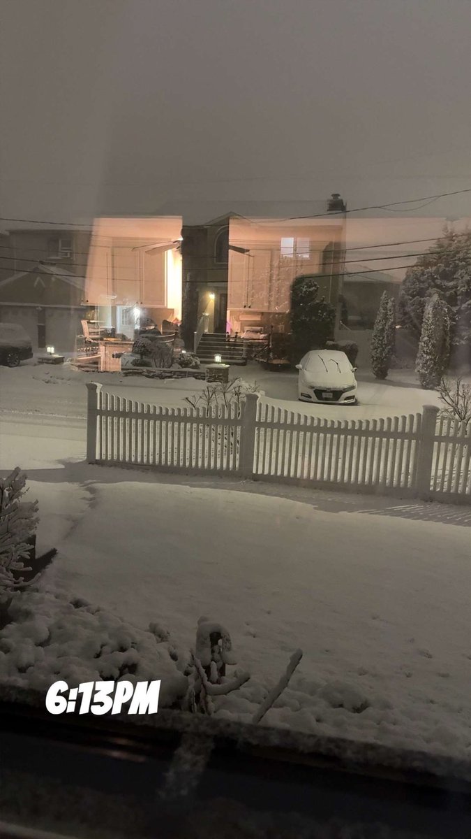 Mal 🍌🦋 tweet media