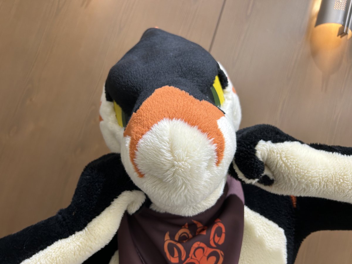 ˚✧₊⁎❝᷀ົཽ≀ˍ̮ ❝᷀ົཽ⁎⁺˳✧༚
#ケモノスター