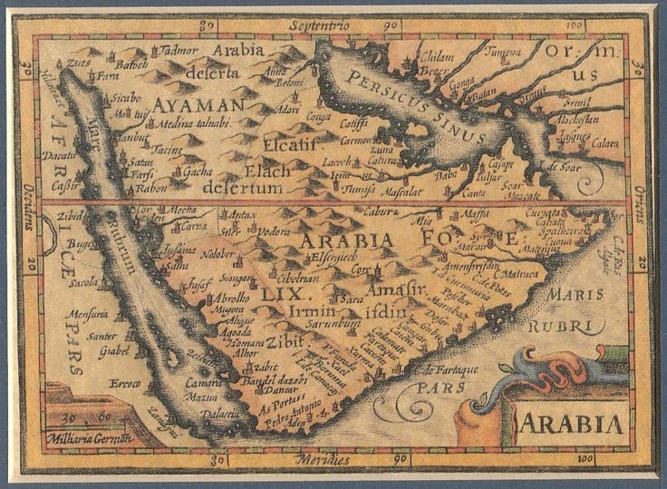 شاهد tweet media