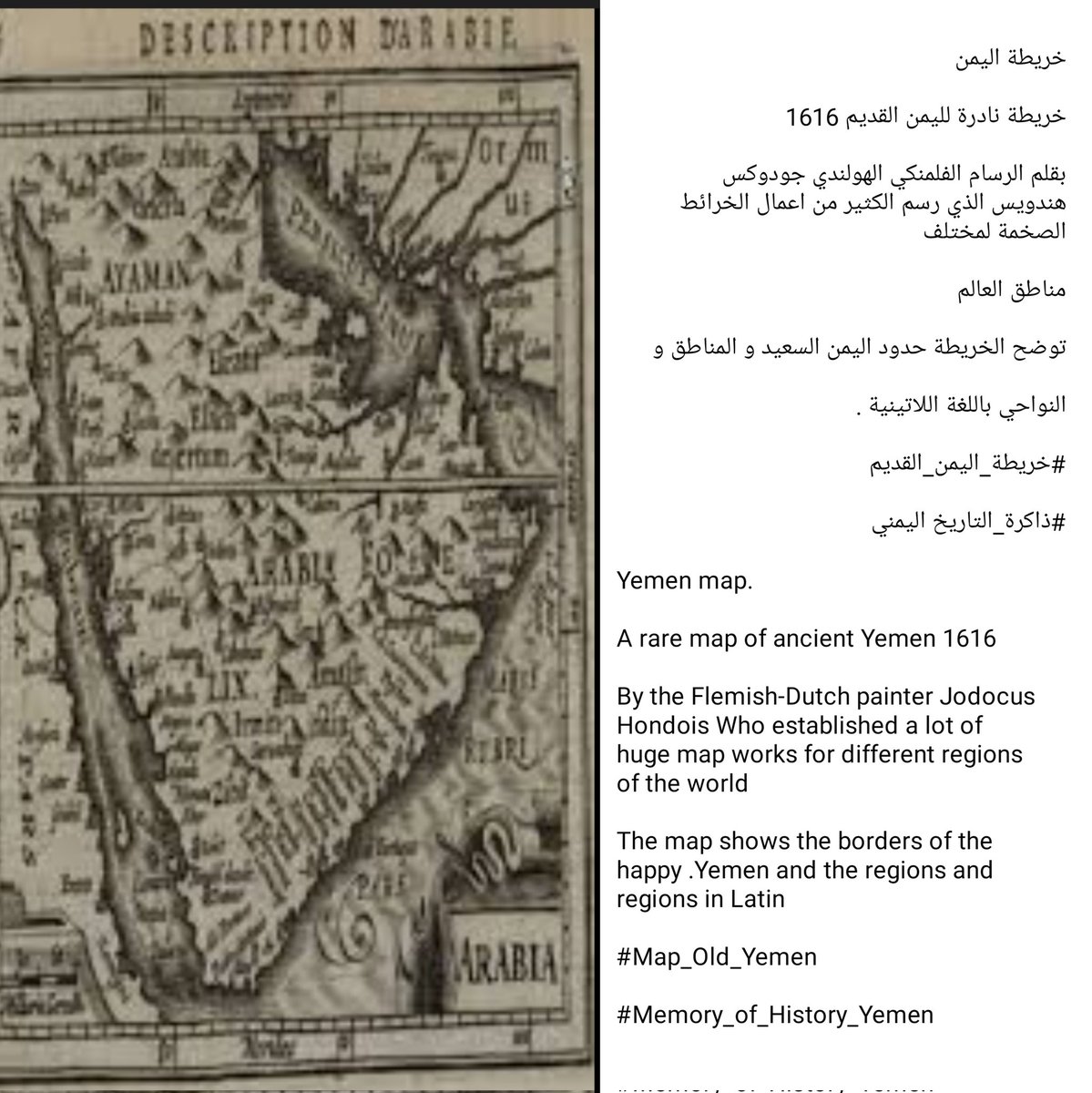 شاهد tweet media