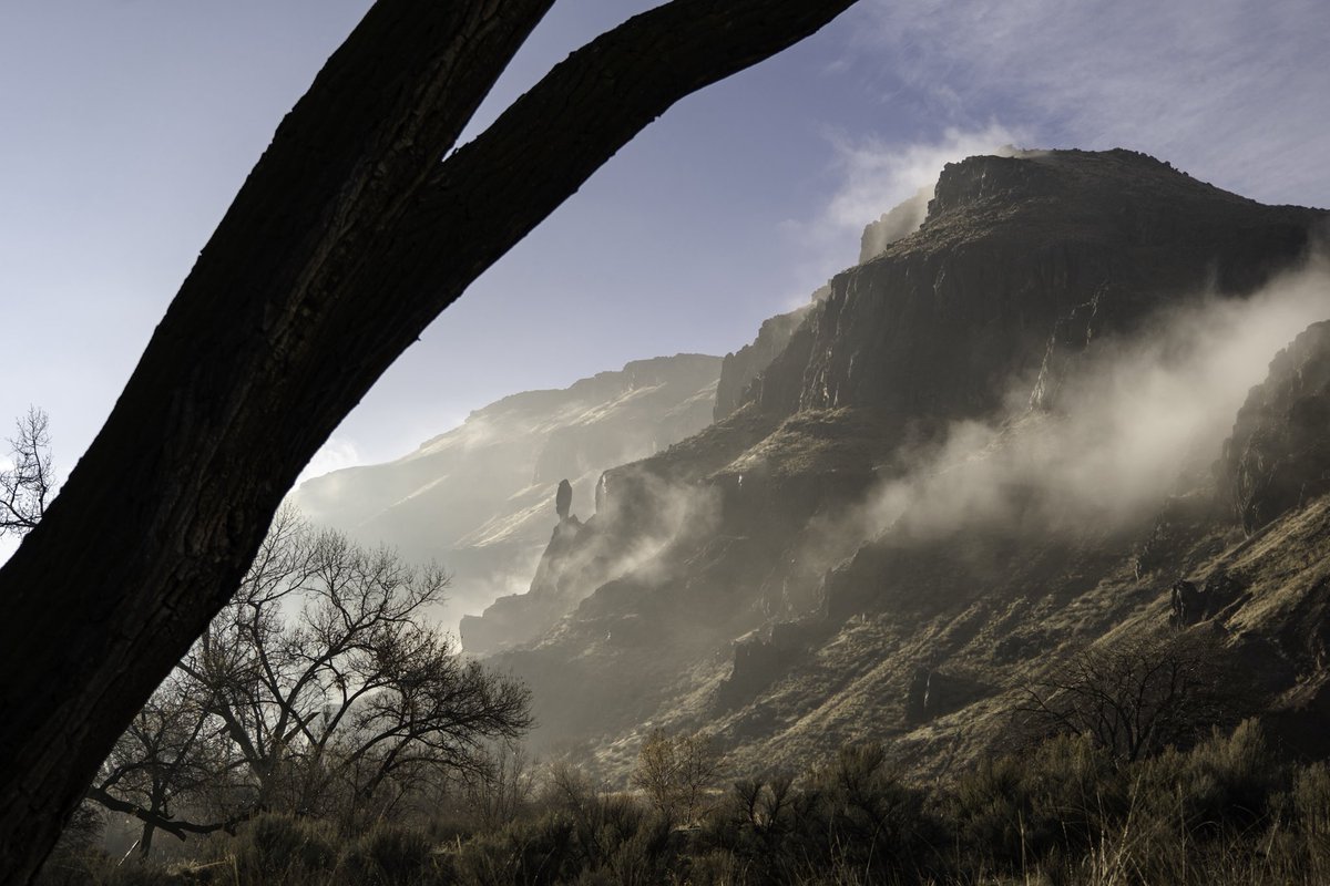 Oliver Dahl tweet media