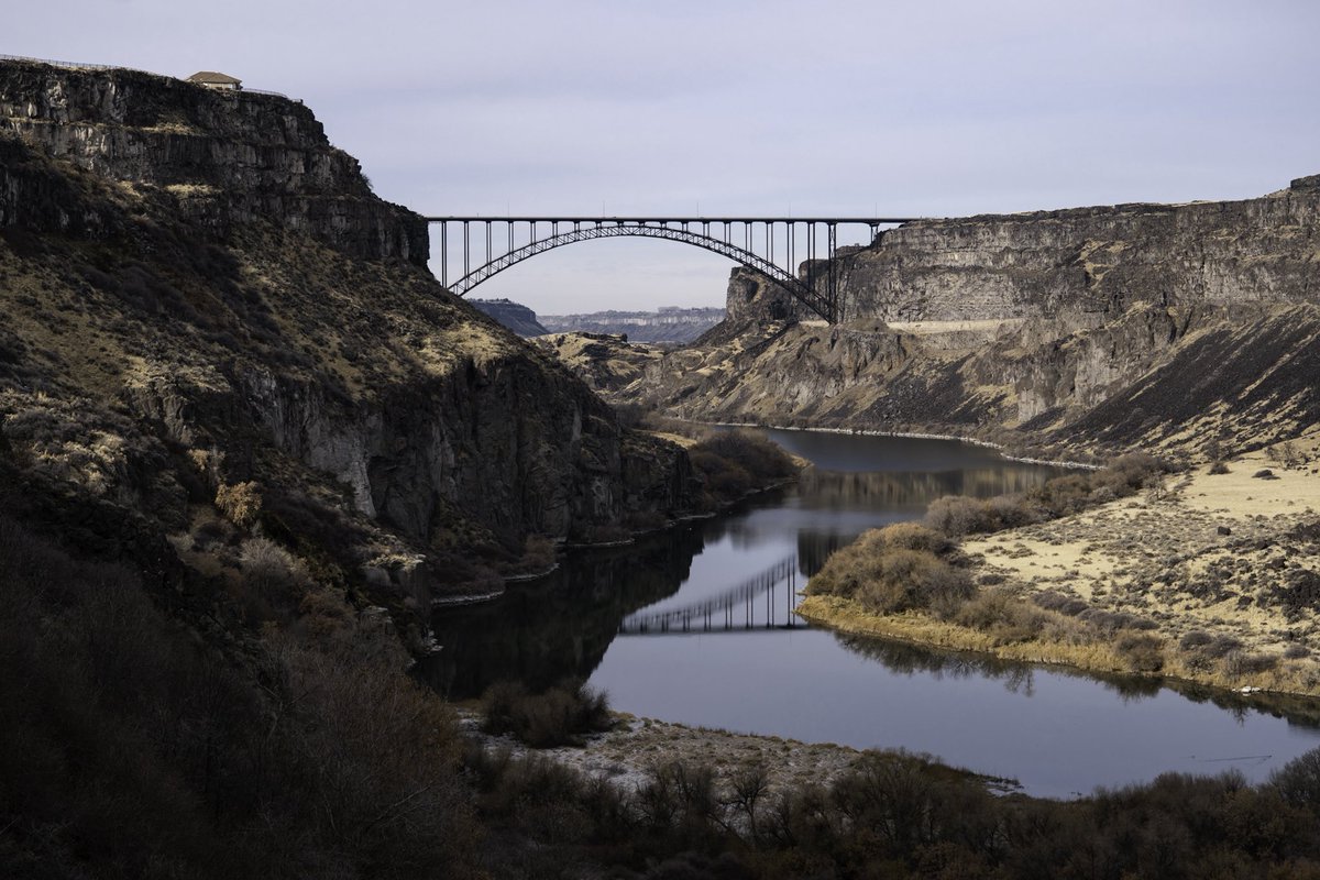 Oliver Dahl tweet media