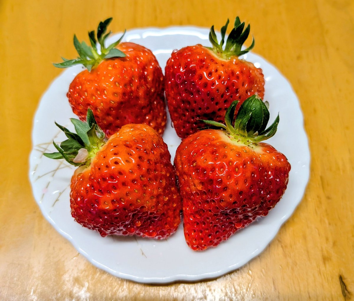 おはようございます☀

赤い宝石✨️
「越後姫」
この時期だけの大きな苺
１年に一度のお楽しみです
果肉が柔らかでとっても美味しいです
普通サイズはまだまだ出てきますが　この時期に新潟にお越しの際はぜひおすすめです😊

連休最終日
穏やかな休日となりますように🍓