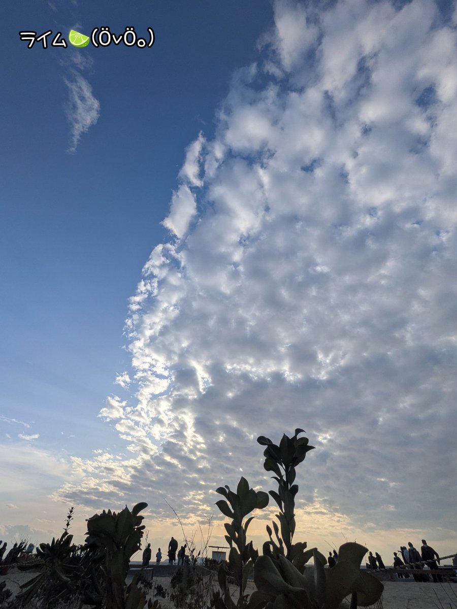 自然のアートですね꜀( *´艸`)⸜ ෆ ⸝‍