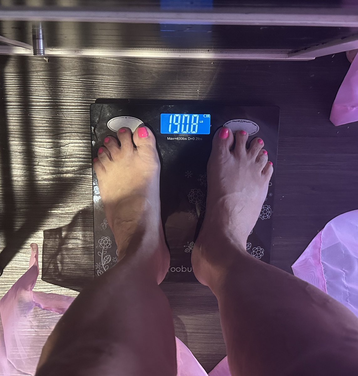 Queen of Carni tweet media