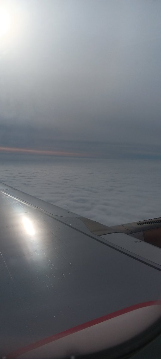 eek! (busy busy busy) tweet media