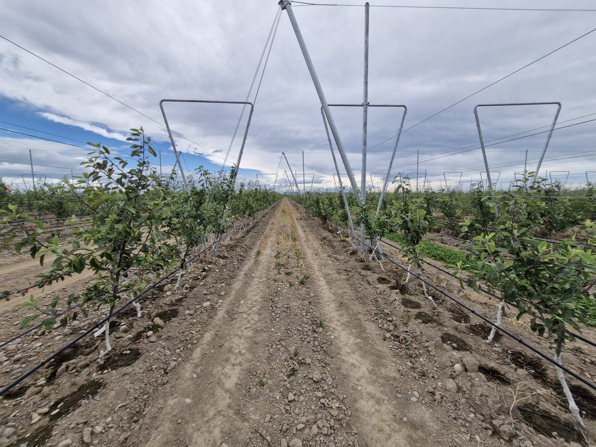 Sentek Technologies tweet media