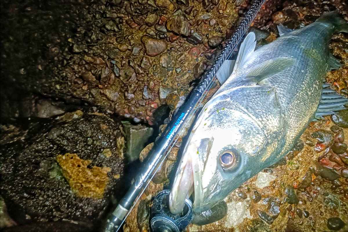 定廣一志 tweet media