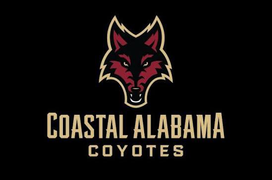 JonathanBurnett tweet media