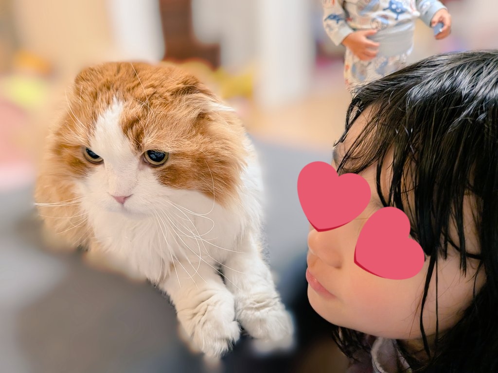 にゃんにゃんにゃんの日 の昨日。 我が家の王様。