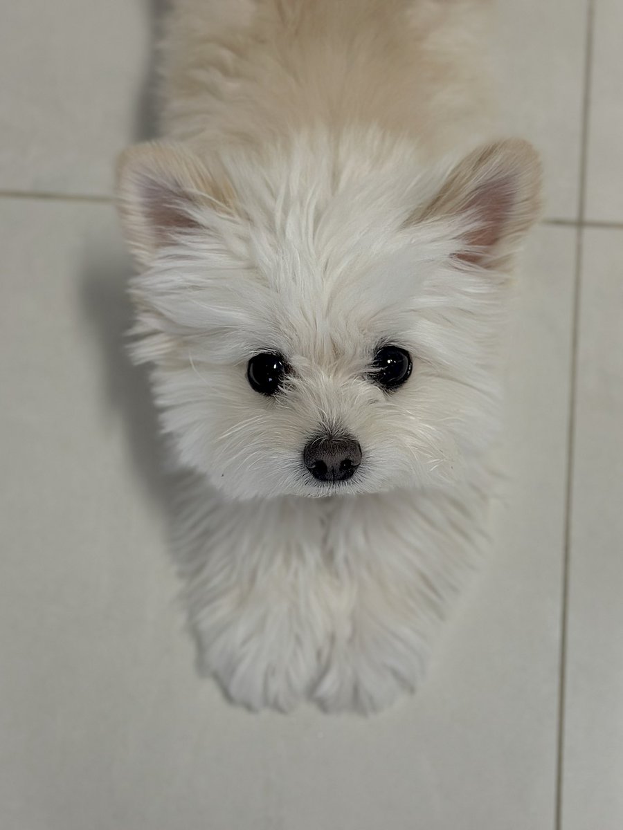 ╭ ◜◝ ͡ ◜◝ ͡ ◜◝ ╮
 좋은 하루 보내🤍
 ╰ ◟◞ ͜ ◟ ͜ ◟◞ ╯
          O
           °.