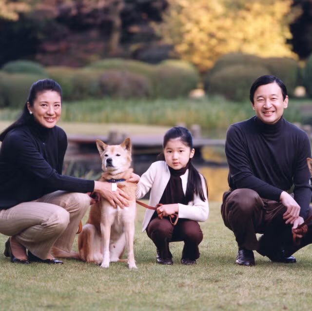 ゆきんこ (@yuki9274) / Posts / X