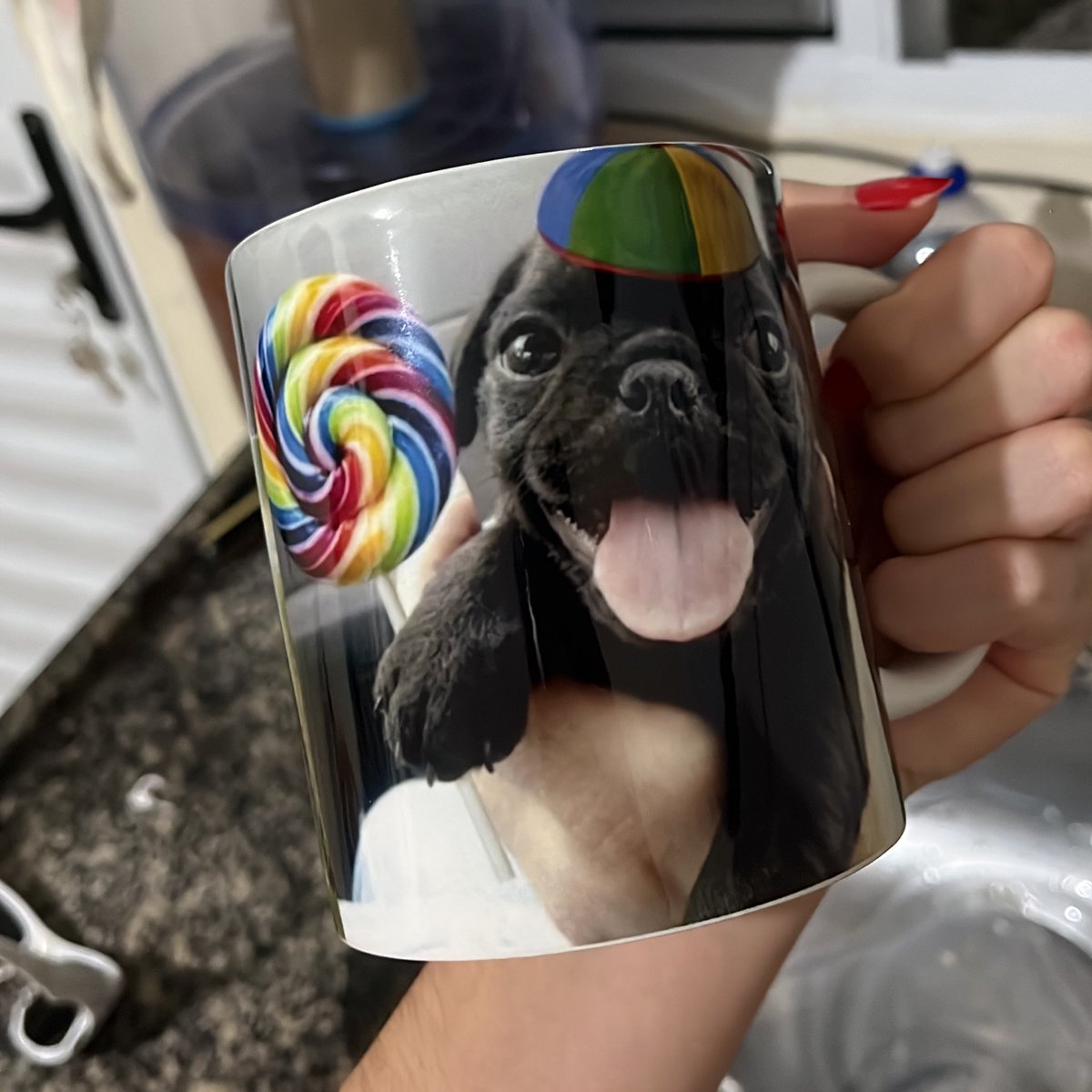 pingu 🐧 tweet media