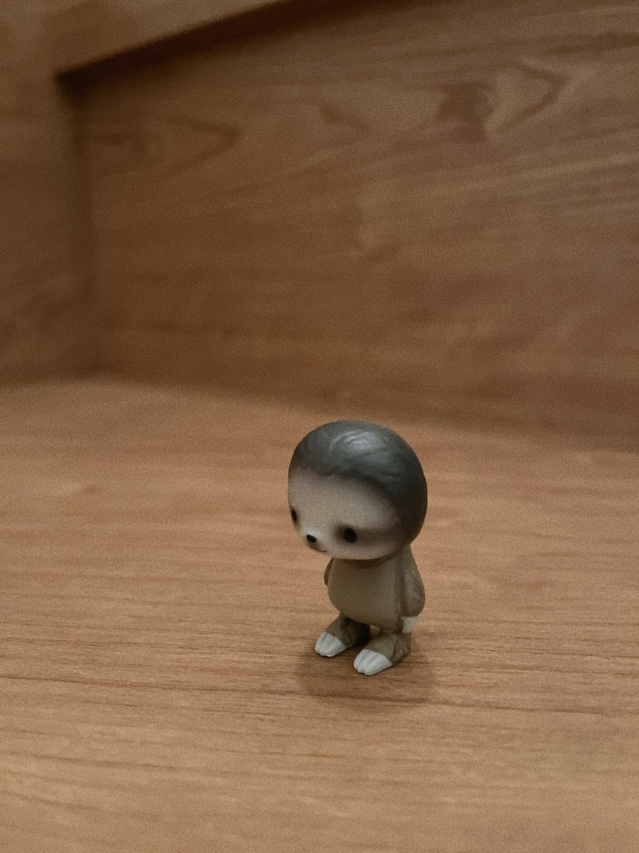 ナマケモノのkeyの日常 tweet media