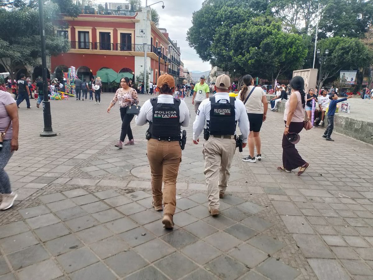 SSPC Oaxaca tweet media