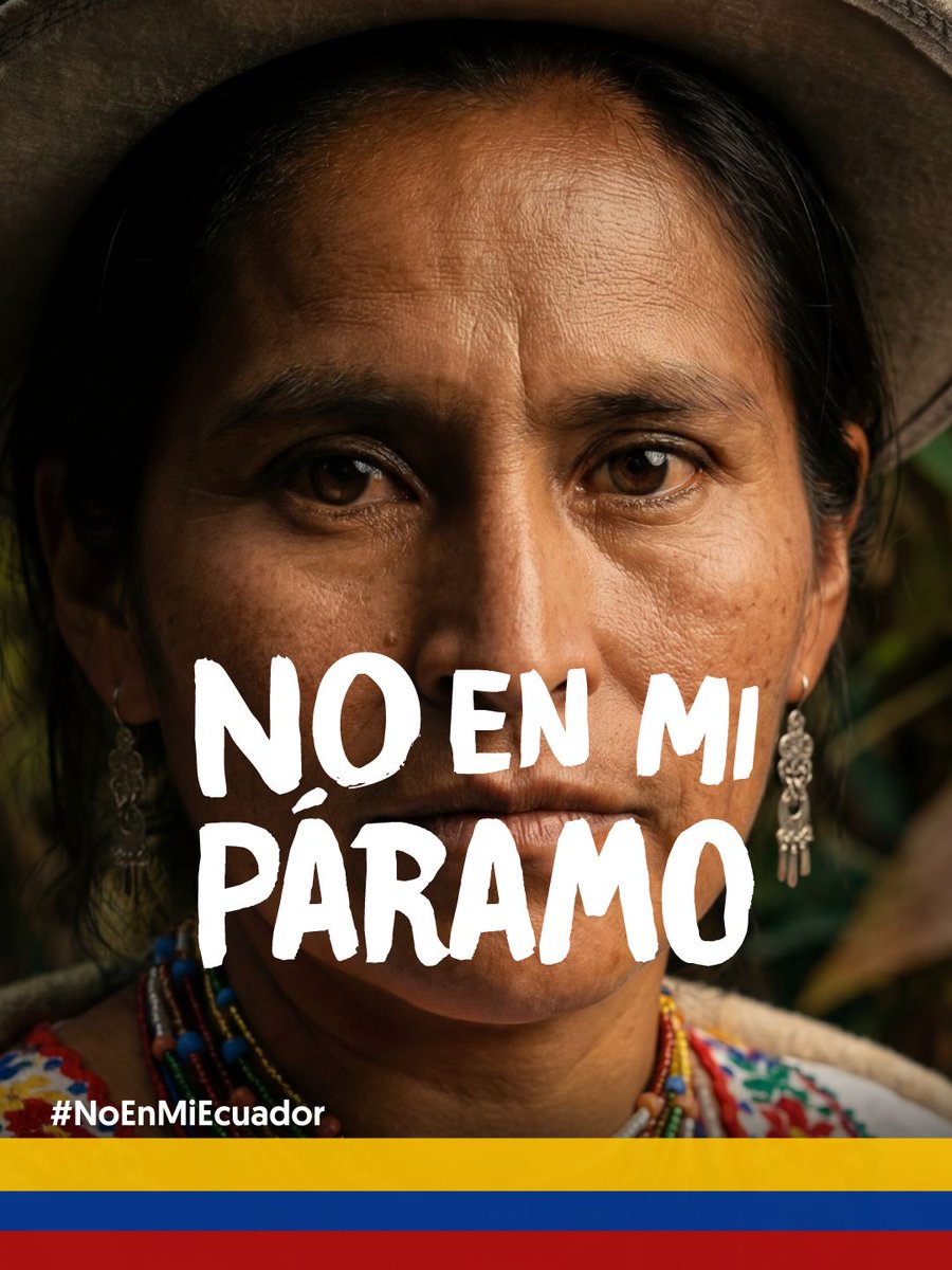 💦🌳 En los Páramos nace el agua, la vida y el futuro.
El proyecto de ley que se debate en la Asamblea nacional pone todo eso en riesgo.

Asambleístas archiven la ley minera ‼️

Defendamos lo nuestro. Comparte esta publicación.

#noenmiecuador #archivaleyminera