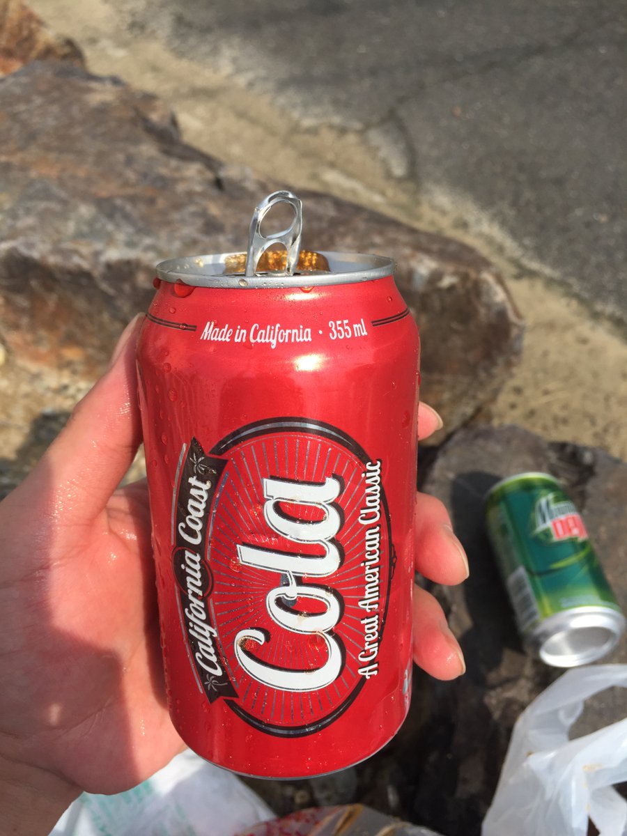 過去分から
マウンテンデューとカリフォルニアコーストコーラ
味は割と美味しかった