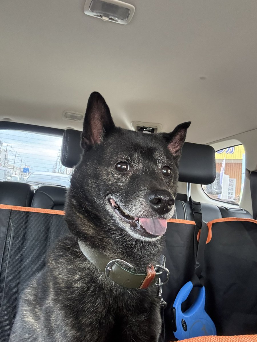 ケイシ(KC)🔜 tweet media