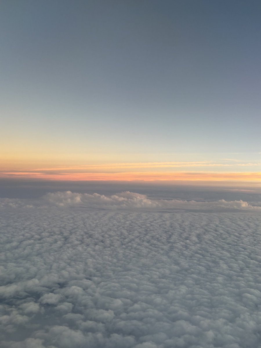 巻き起こせ!はやと旋風 tweet media