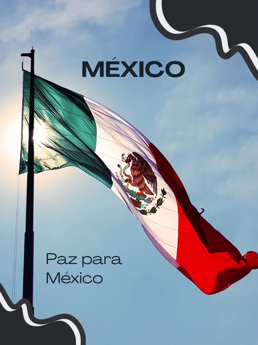 Sociedad Civil México tweet media